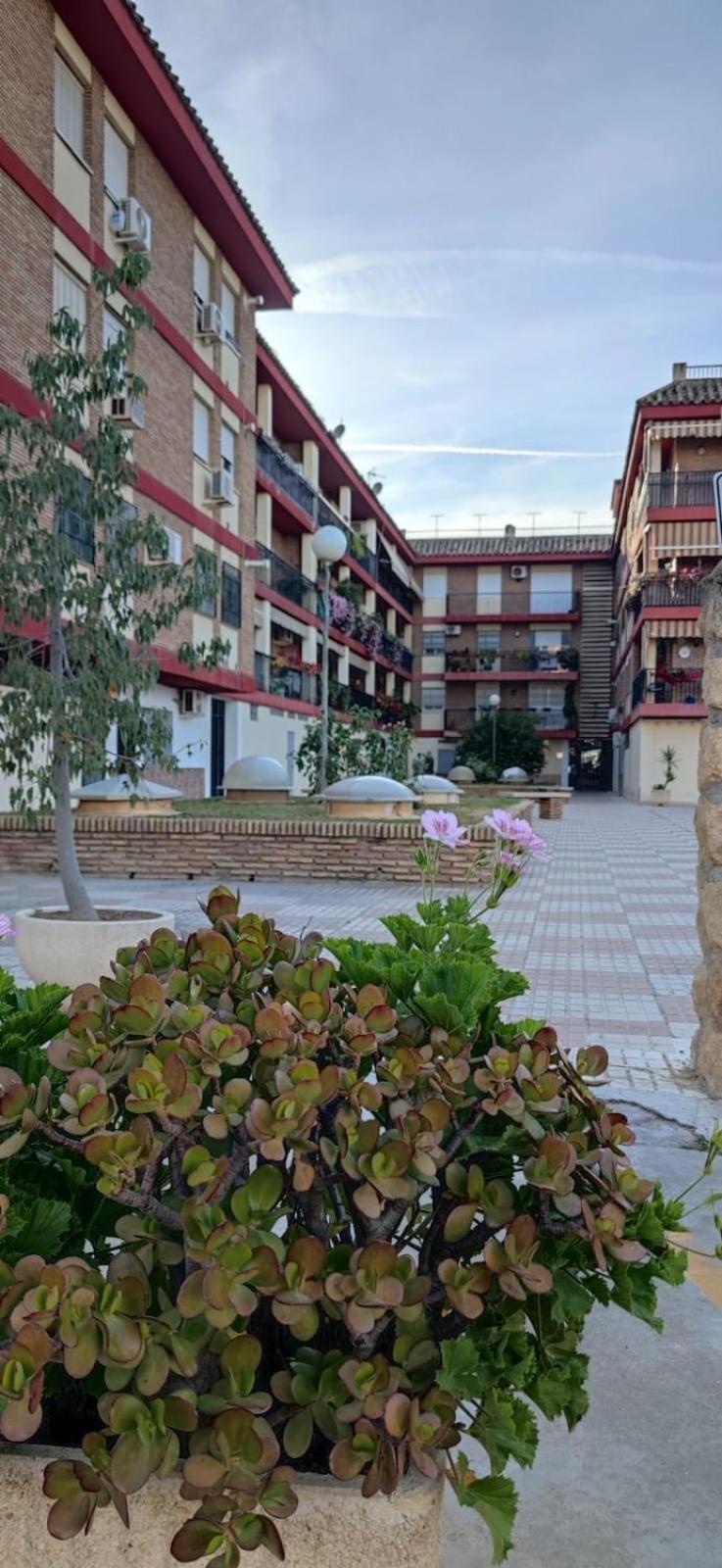 Loft A La Verita River, Parking Free Κόρδοβα Εξωτερικό φωτογραφία